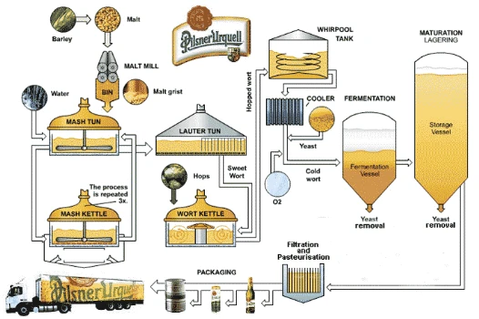 Quy trình sản xuất bia